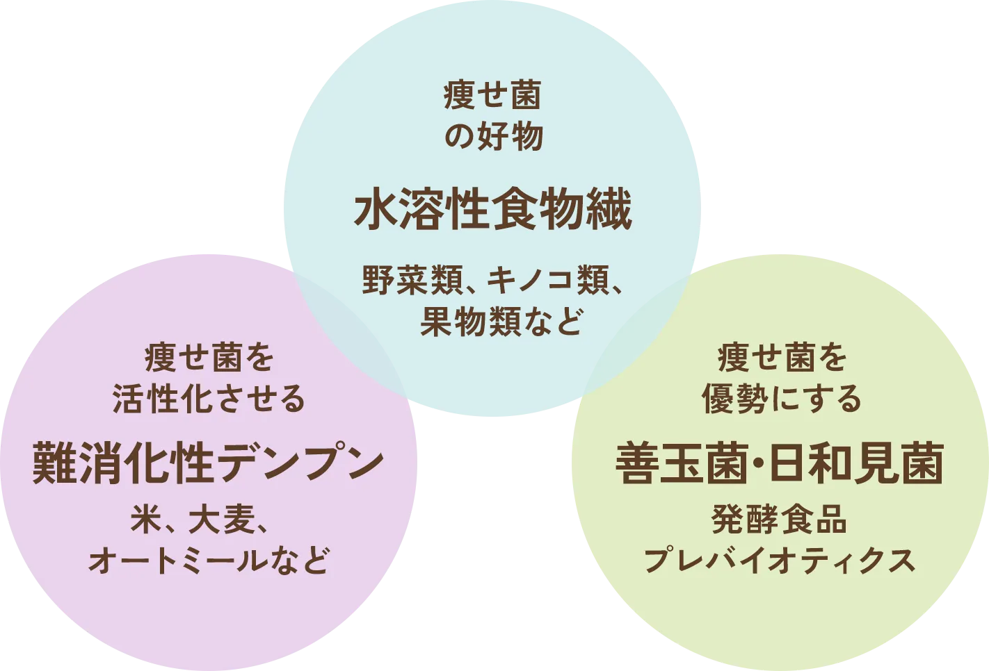 水溶性食物繊 難消化性デンプン 善玉菌・日和見菌